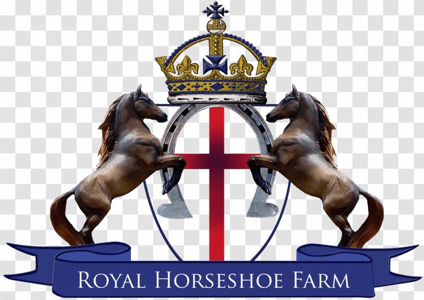 Royal Horseshoe Farm Front Equestrian Trail Riding - Virginia - Horse Transparent PNG