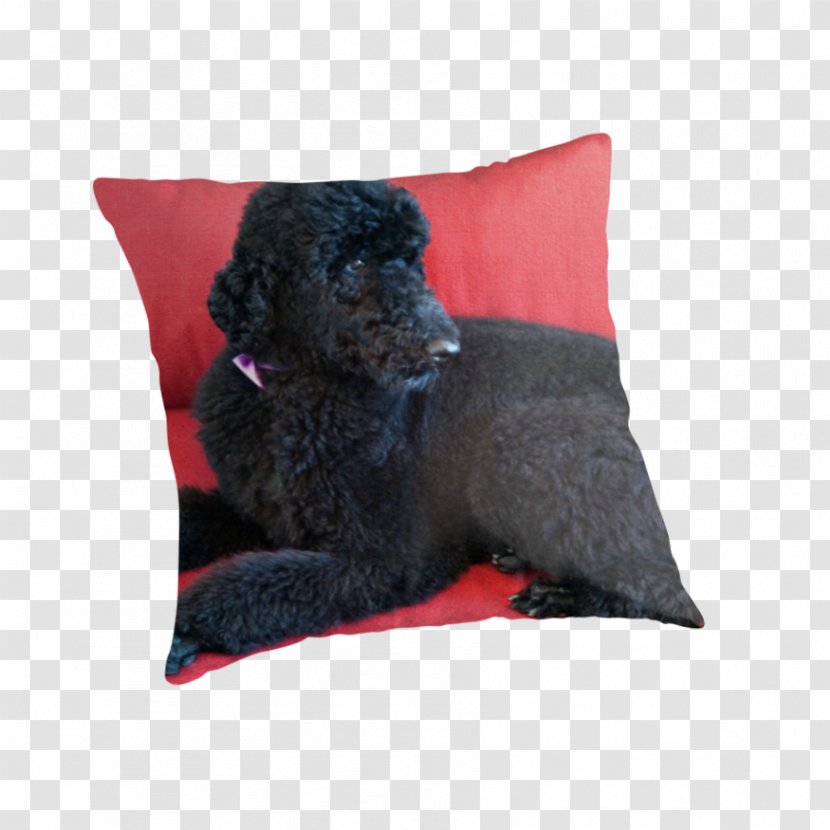 Poodle Dog Breed Throw Pillows Cushion Water Transparent PNG