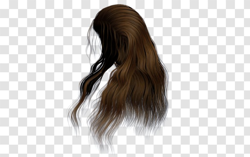 Hairstyle Brown Hair Wig - Cartoon Transparent PNG