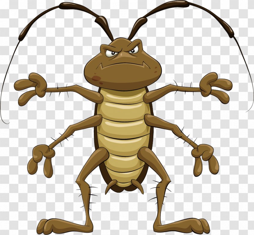 Cockroach Cartoon Royalty-free Clip Art - Stockxchng - Beetle Transparent PNG