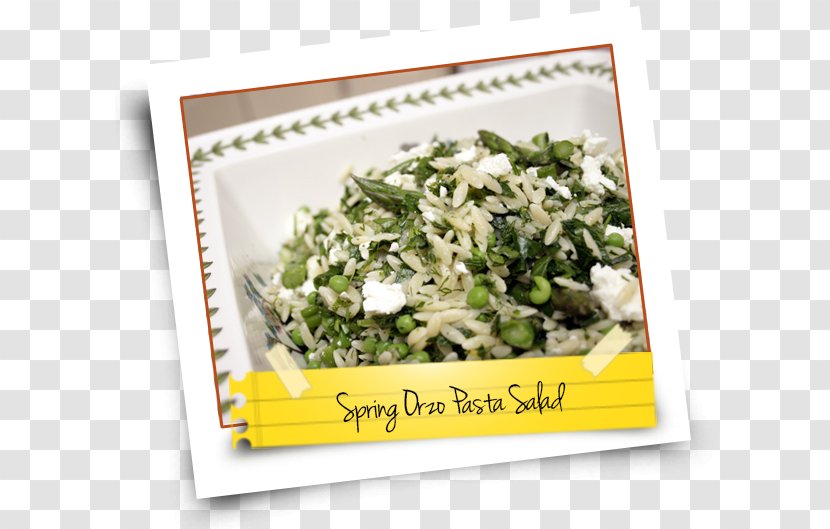Vegetarian Cuisine Leaf Vegetable 09759 Recipe Salad - Rice Transparent PNG