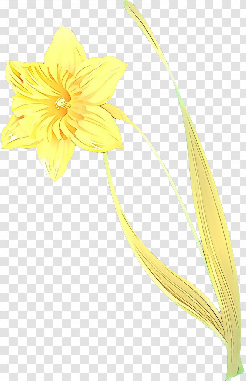 Flowers Background - Sunflower - Gerbera Transparent PNG