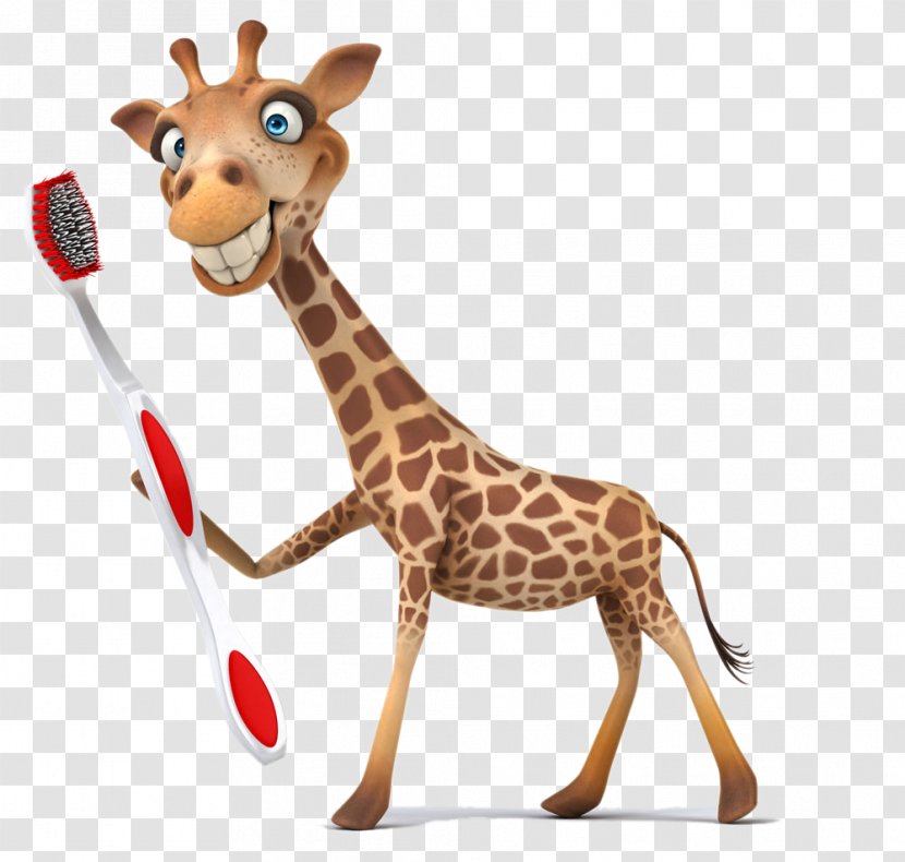 Giraffe Stock Photography Illustration Royalty-free Clip Art - Wildlife - Take The Toothbrush Transparent PNG
