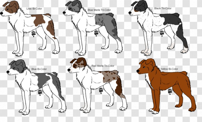 Dog Breed American Foxhound English Harrier Australian Shepherd Transparent PNG