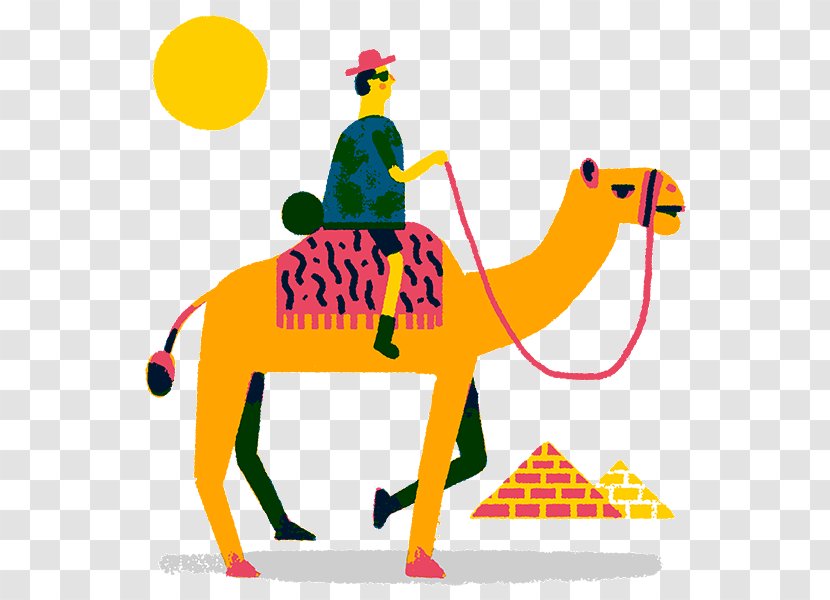 Camel Clip Art Product Line - Like Mammal - Low Carbon Travel Transparent PNG