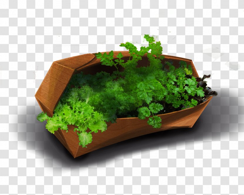 Leaf Vegetable Herb Flowerpot - Design Transparent PNG