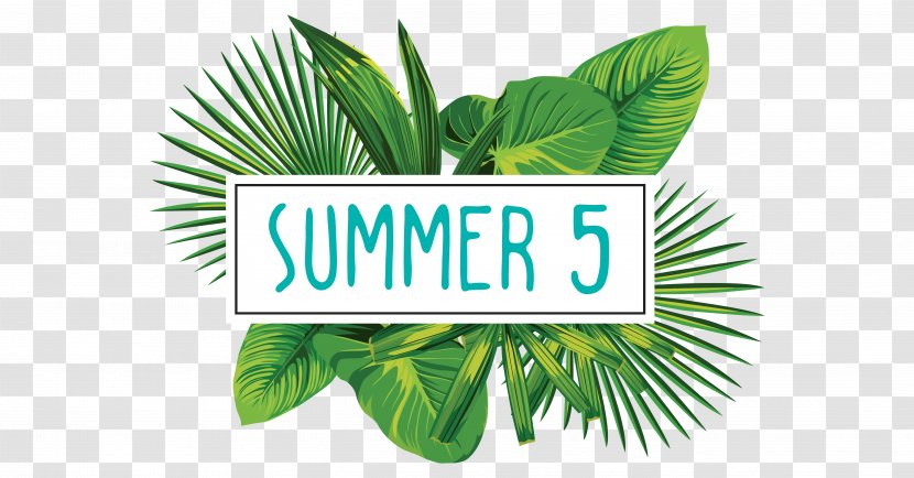 Vector Graphics Stock Illustration Tropics Logo - Tree - Summer Offers Transparent PNG