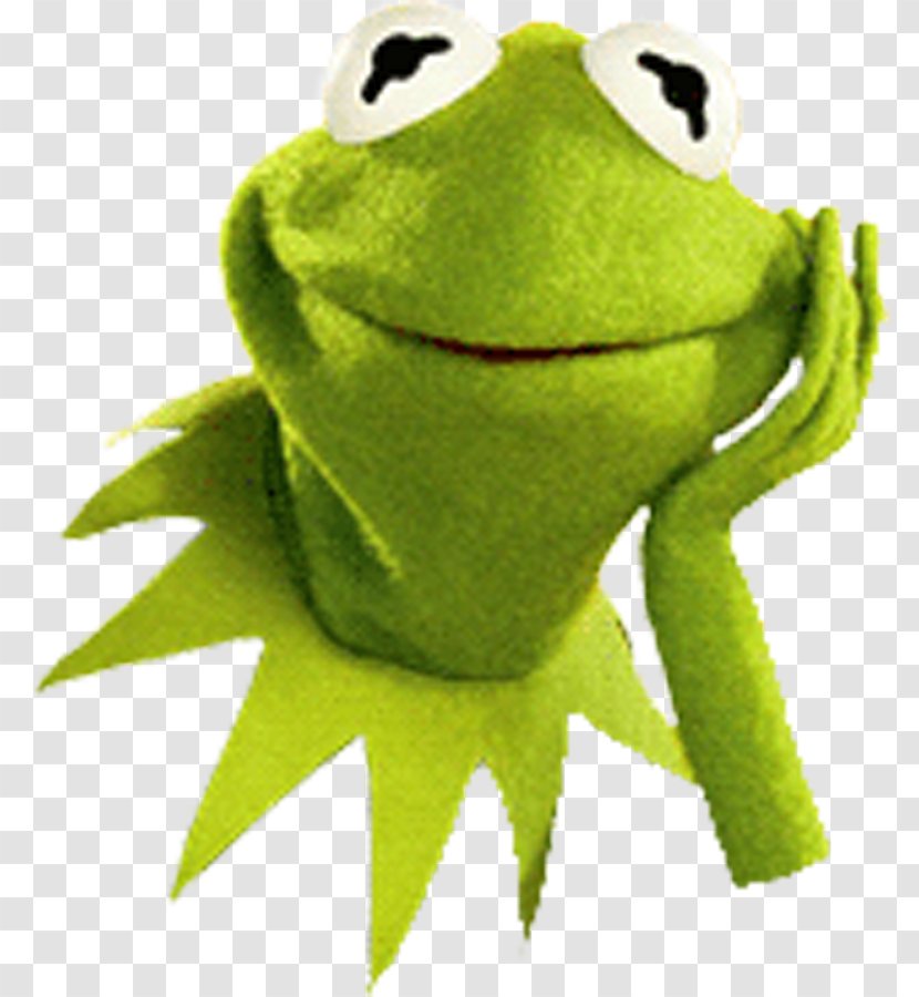 Kermit The Frog Beaker Gonzo Miss Piggy Muppets - Ranidae Transparent PNG