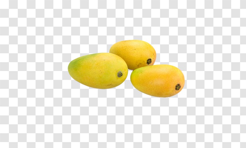 Mango Fruit Download Auglis - Information Transparent PNG