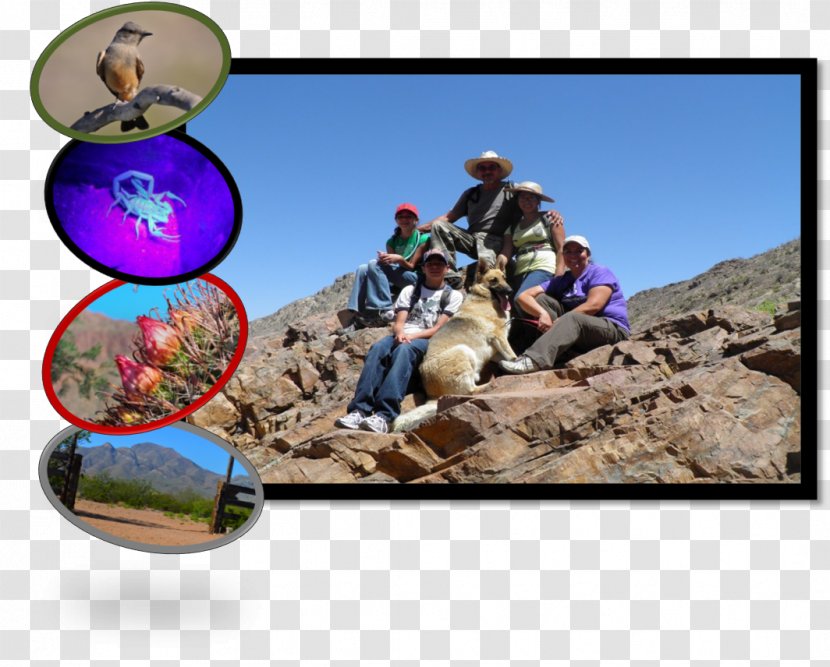 Recreation - Tourism - Lef Transparent PNG