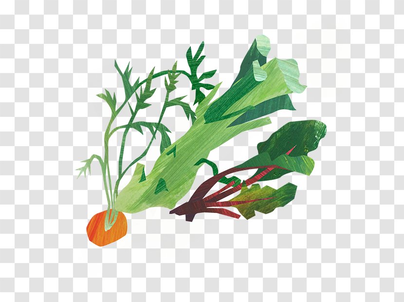 Chard Spring Greens Herb Radish Leaf - Tree Transparent PNG