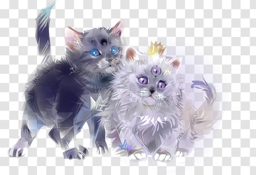 Kitten Maine Coon Whiskers Paw DeviantArt Transparent PNG