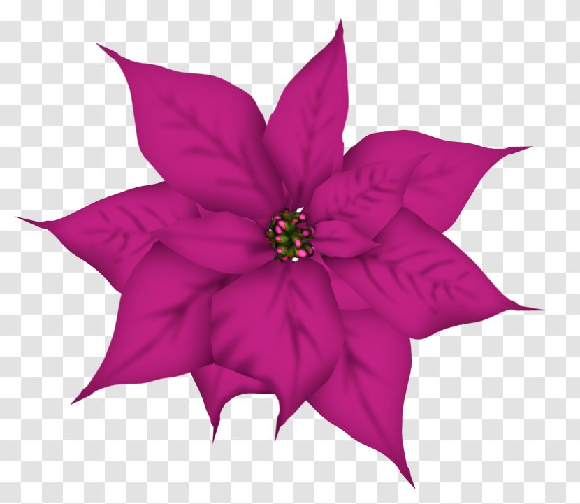 Christmas Flower Clip Art - Petal Transparent PNG