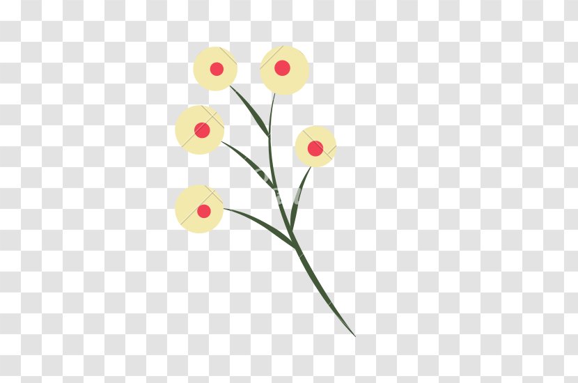 Cut Flowers Plant Stem Petal - Flower - Greenery Transparent PNG