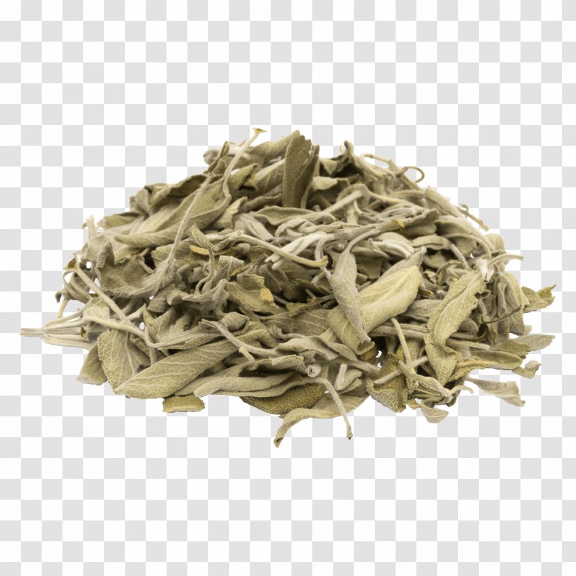 Common Sage Tea Herb Food Drying - Earl Grey - Dry Parsley Transparent PNG