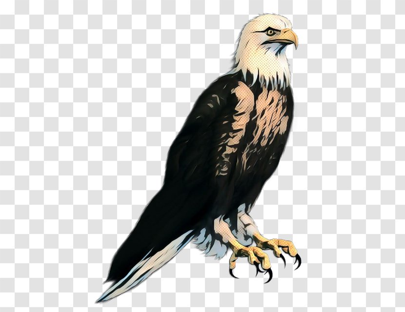 Retro Background - Vintage - Sea Eagle Peregrine Falcon Transparent PNG
