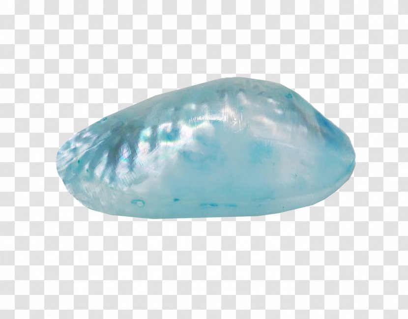 Blue Conch Sea Snail - Color - Beautiful Transparent PNG