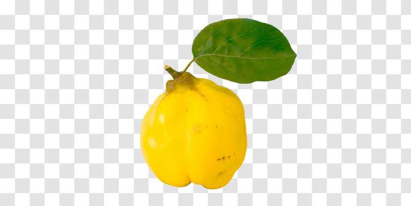 Quince Fruit Auglis Juice Vegetable - Citron Transparent PNG