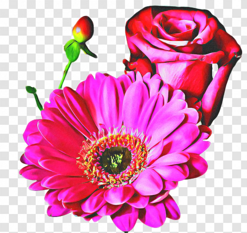 Pink Flower Cartoon - Bloom - Rose Family Bouquet Transparent PNG