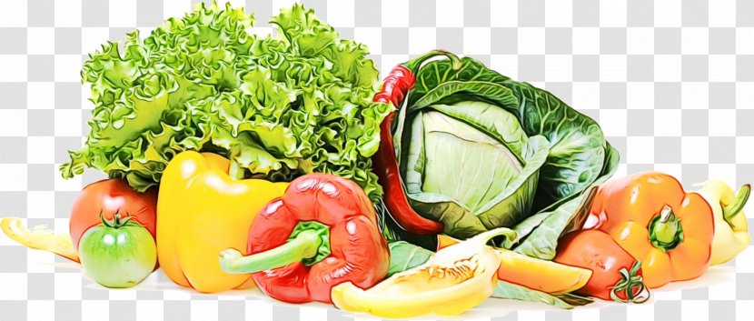 Vegetables Cartoon - Vegetable - Local Food Recipe Transparent PNG
