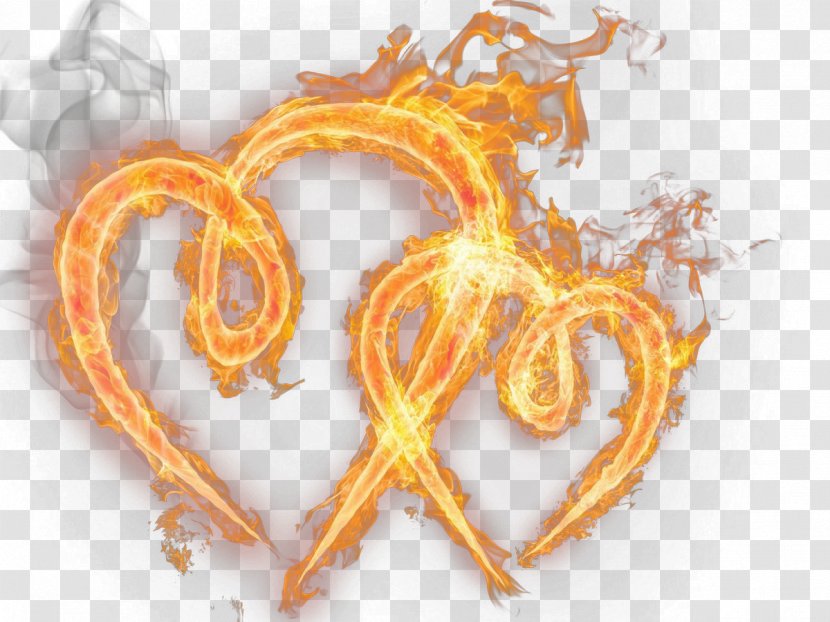 Flame Fire Clip Art - Combustion Transparent PNG