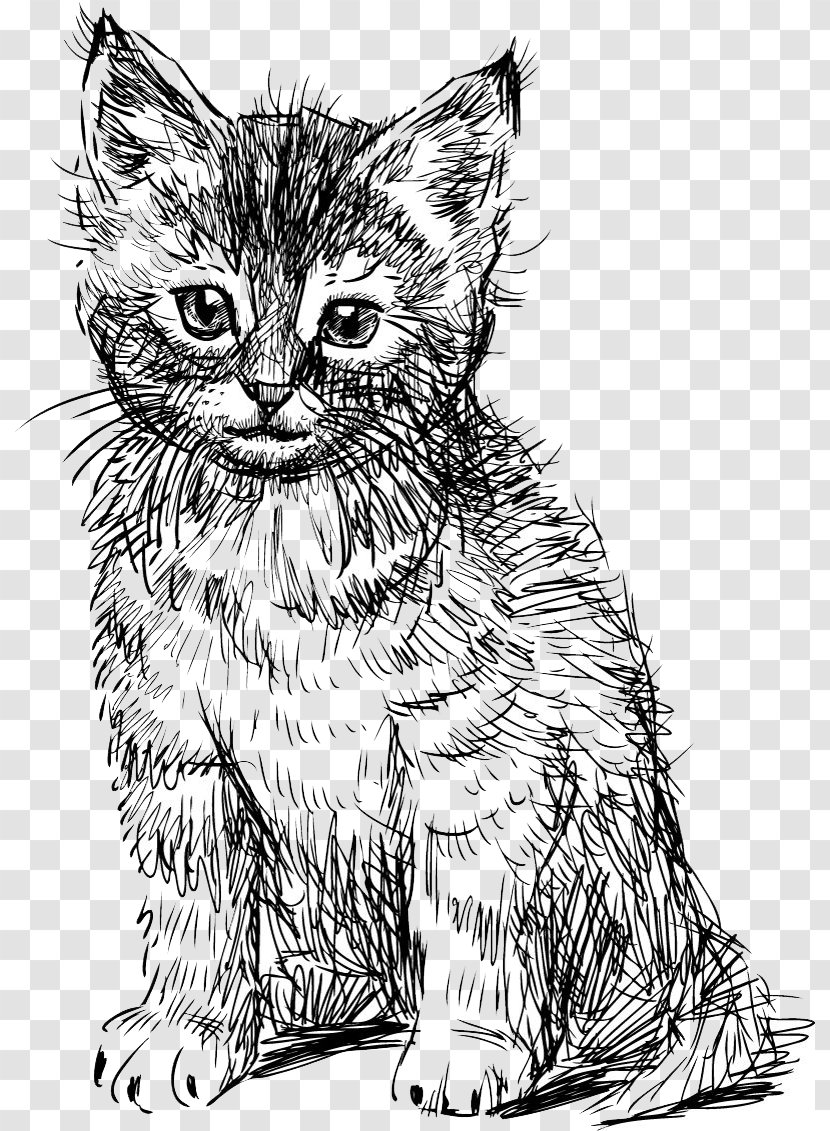 British Shorthair Abyssinian Kitten Drawing - Carnivoran - Hand Drawn Cute Cat Creative Transparent PNG