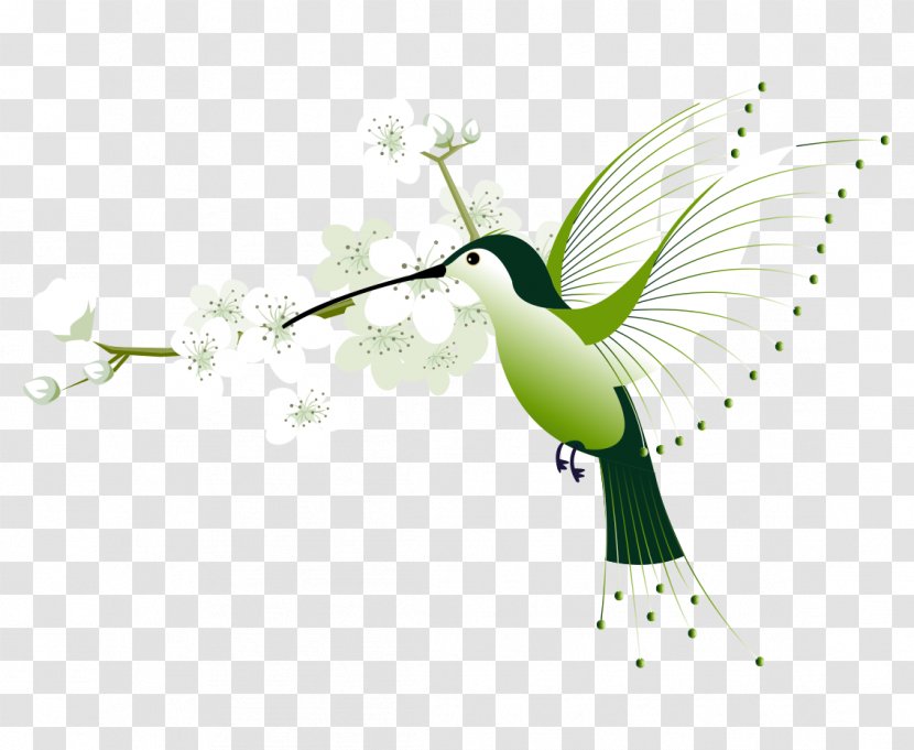 Hummingbird Euclidean Vector Flower - Pollinator - Cartoon Birds Hand-painted Flowers Edge Transparent PNG