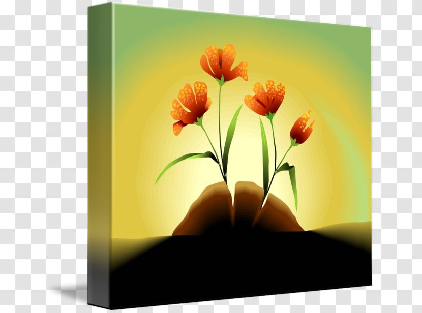Floral Design Desktop Wallpaper Petal Computer Transparent PNG