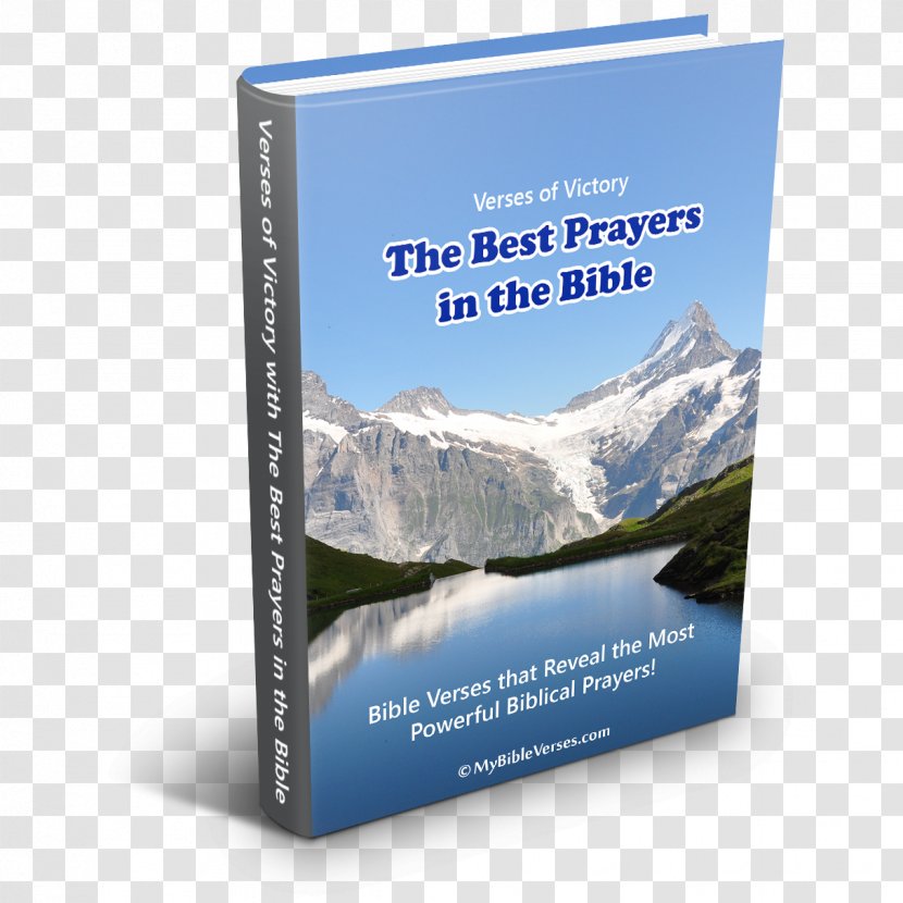 Bible Praying God's Word Book Translation Prayer - Blessing - Verses Transparent PNG