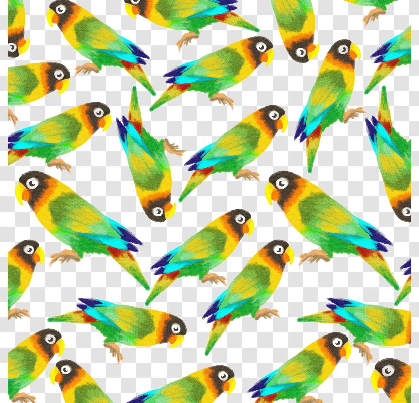 Budgerigar Amazon Parrot Lovebird - Fish - Vector Transparent PNG