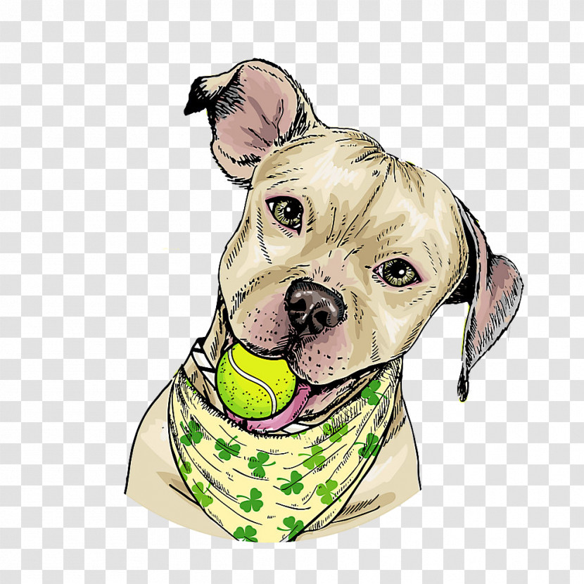 Dog Snout Pit Bull American Pit Bull Terrier Dog Collar Transparent PNG