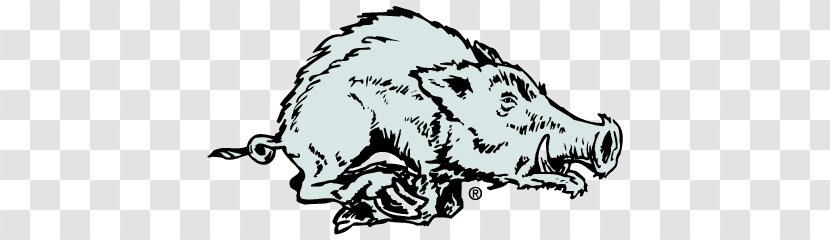 Arkansas Razorbacks Football Mens Basketball Logo Feral Pig Clip Art - Livestock - Razorback Cliparts Transparent PNG