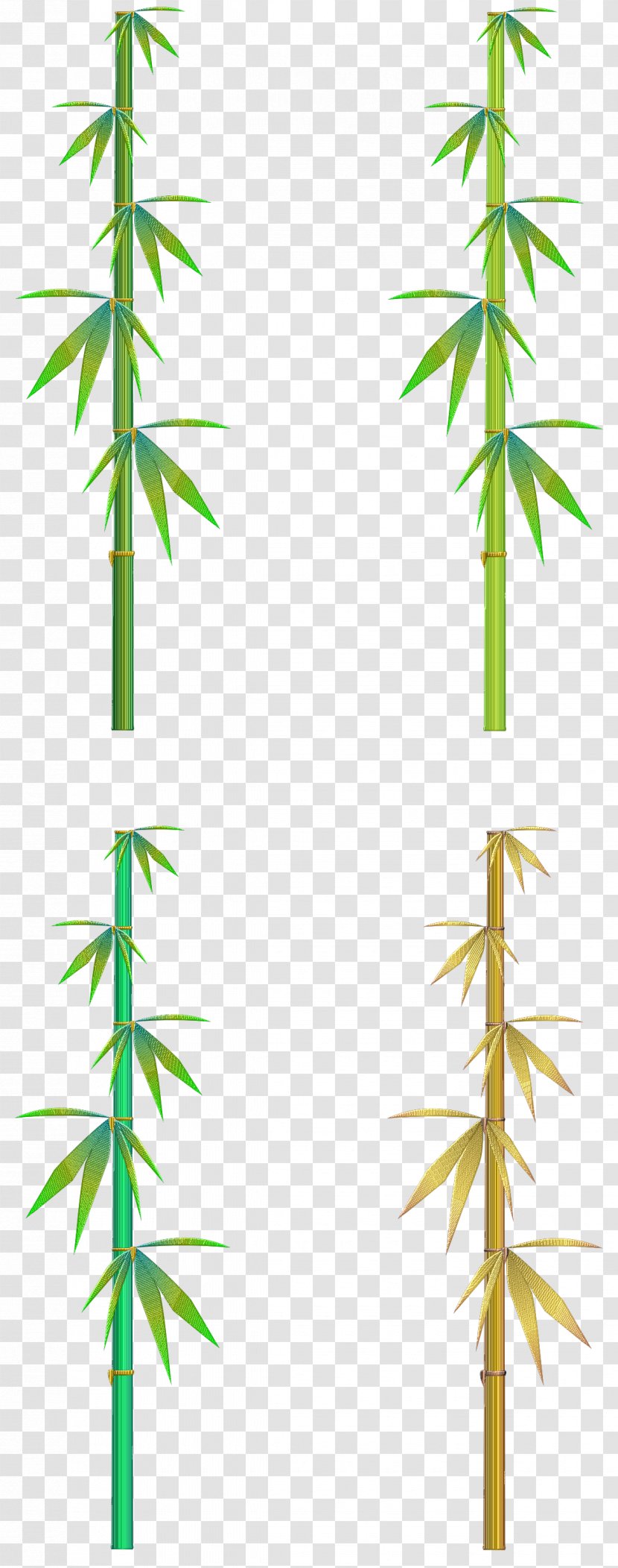 Hemp Line Angle Cannabis - Branch Transparent PNG