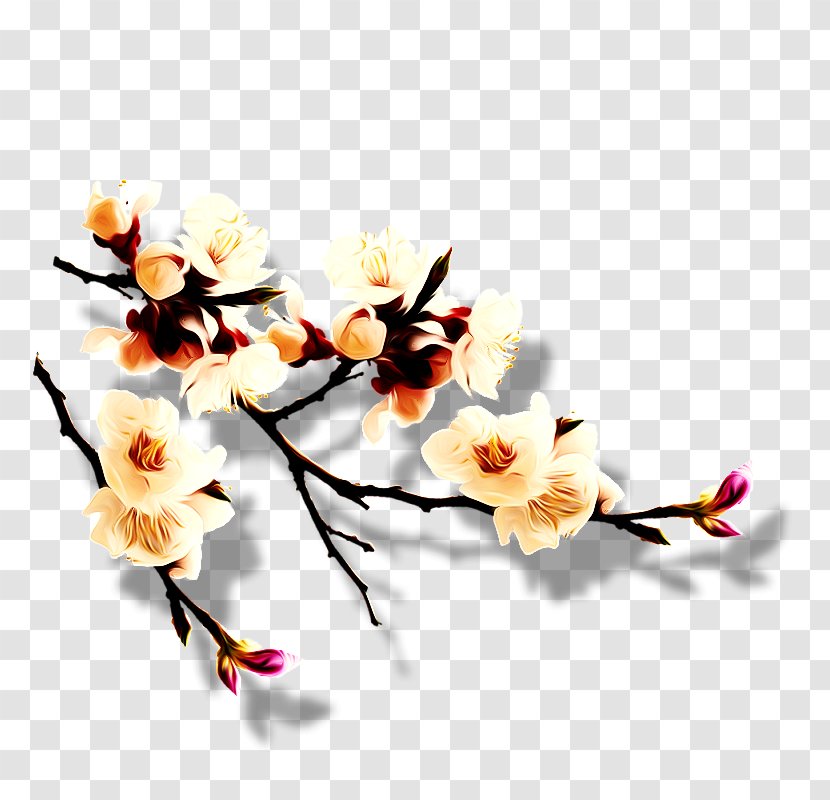 China Download Plum Blossom - Flower Transparent PNG