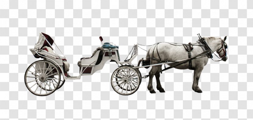 Horse-drawn Vehicle Carriage Horse And Buggy Coach Transparent PNG