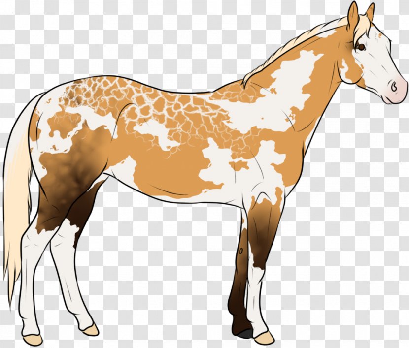 Mule Foal Stallion Mustang Colt - Horse Transparent PNG