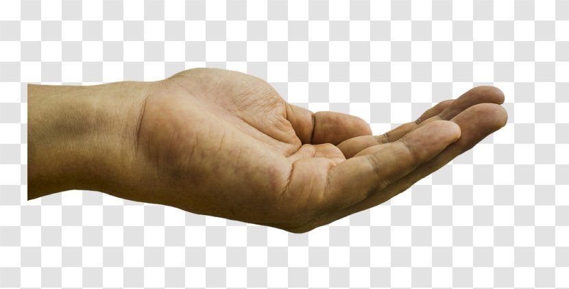 Hand Finger Palm Thumb - Women File Transparent PNG