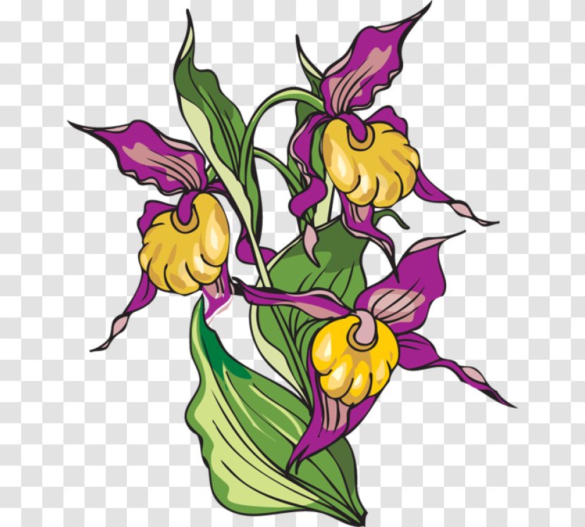 Floral Design Flower Clip Art - Flowering Plant Transparent PNG
