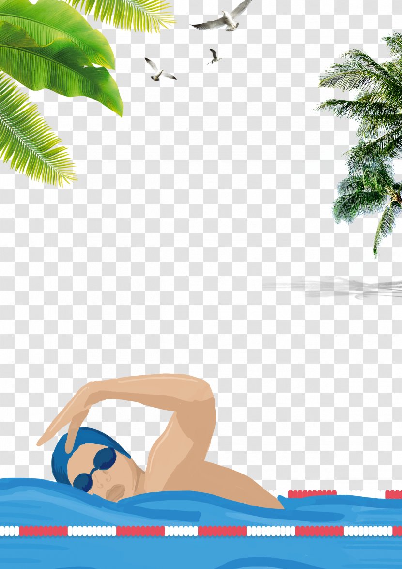 Poster Swimming Summer Cartoon - Vacation - Training Background Transparent PNG
