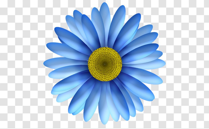 Flower Common Daisy Clip Art - Blue Transparent PNG