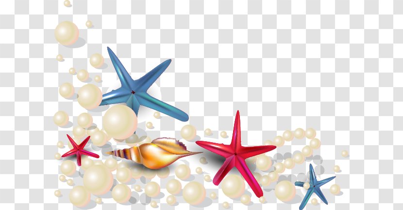 Oyster Seashell Pearl Euclidean Vector - Summer Beach Starfish Shell Transparent PNG