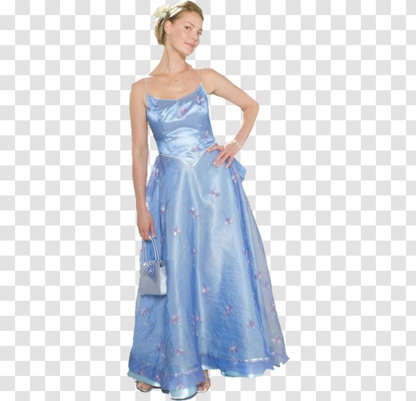 Katherine Heigl 27 Dresses Female Woman Evening Gown - Heart Transparent PNG