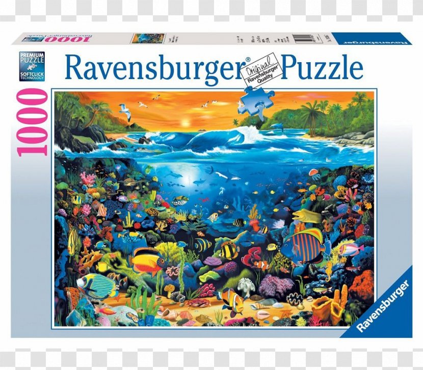Jigsaw Puzzles Ravensburger Game Djeco - Quiz - Educação Transparent PNG
