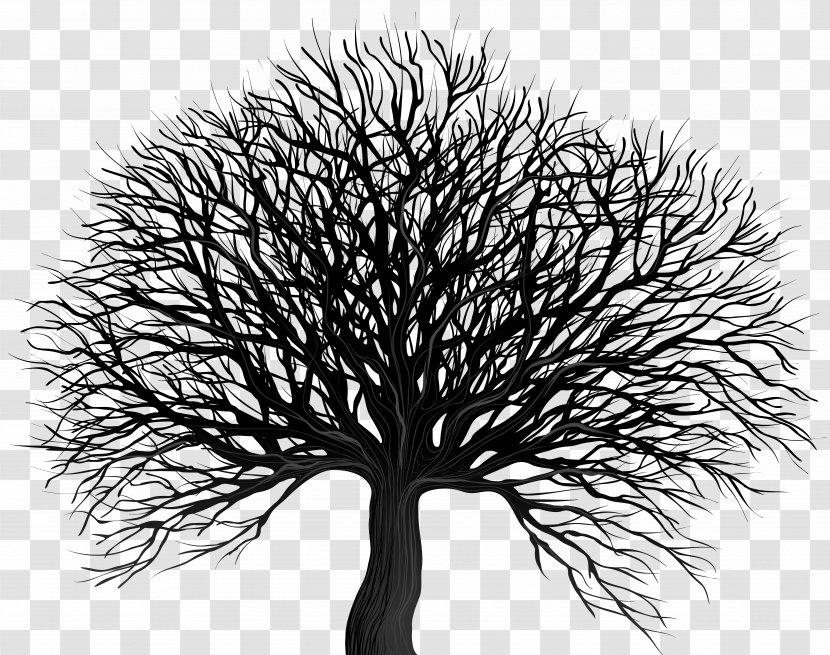 Vector Graphics Clip Art Tree Stock Photography - Woody Plant Transparent PNG