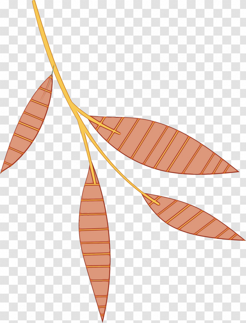 Leaf Line Plants Biology Plant Structure Transparent PNG