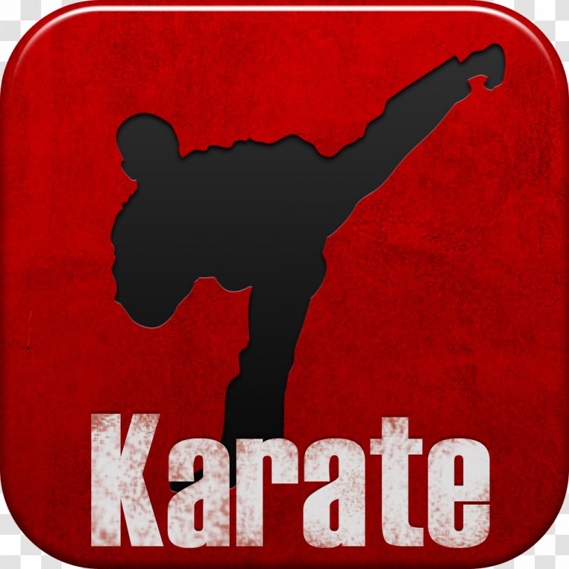 Netflix Martial Arts Film Television Show The Karate Kid - Zhenwei Wang Transparent PNG