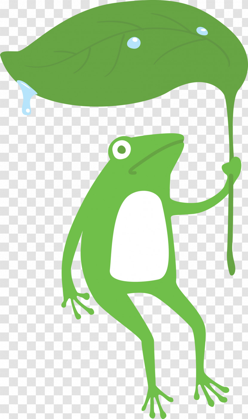True Frog Tree Frog Frogs Toad Cartoon Transparent PNG