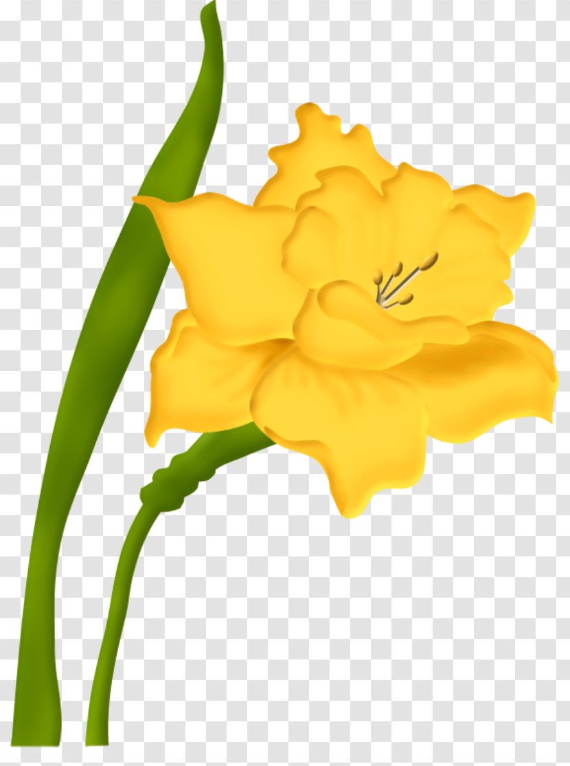 Cut Flowers Blume - Yellow - Flower Transparent PNG