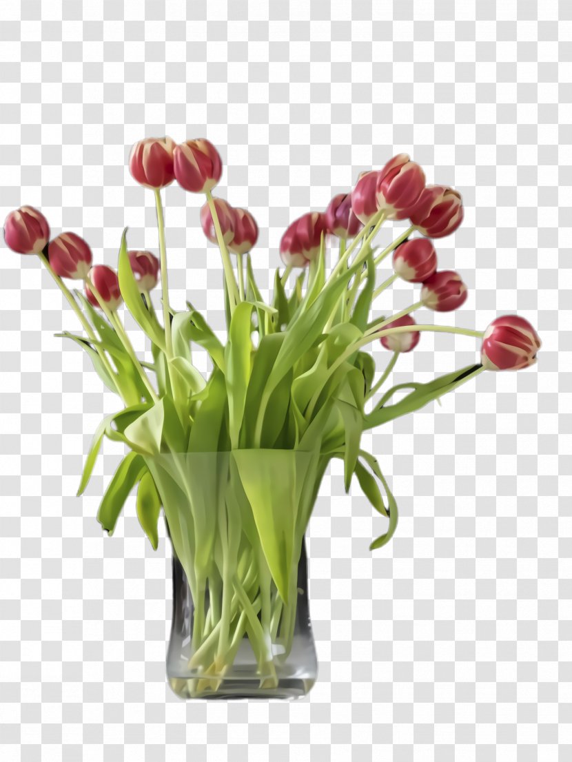 Flowers Background - Plants - Petal Grass Transparent PNG