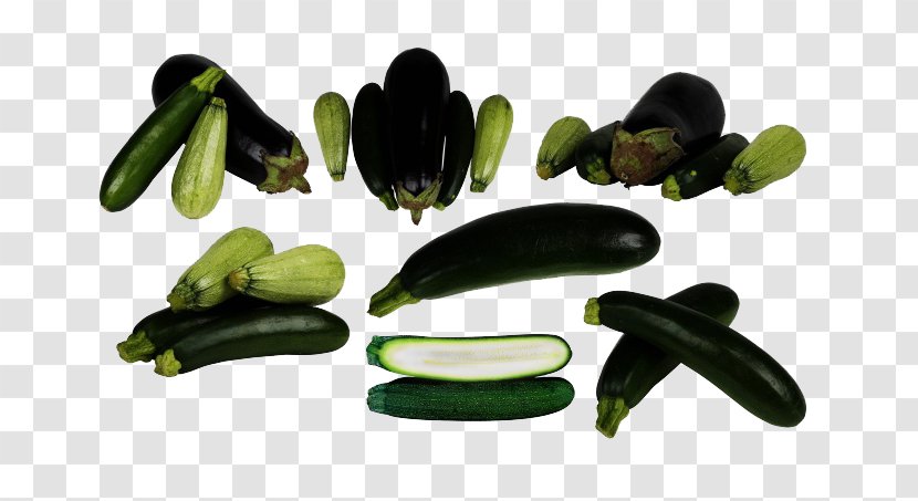 Cucumber Stuffing Eggplant Clip Art - Gourd And Melon Family - Squash Transparent PNG